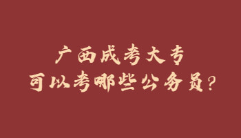 廣西成考大專可以考哪些公務員?