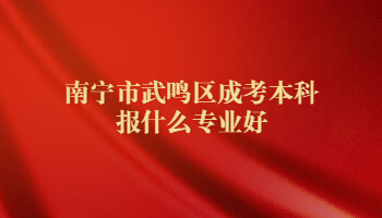 南寧市武鳴區成考本科報什么專業好